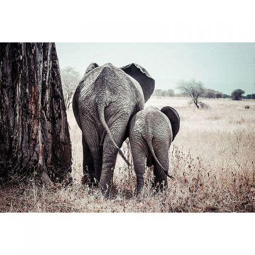 By Kohler  Elephants Mother & Cub 80x120x2cm (109016)