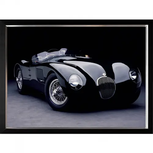 By Kohler  1951 Jaguar C-Type 120x90x3cm (102629)