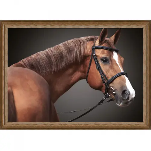 By Kohler  Brown Horse 2 80x60x3cm (105174)
