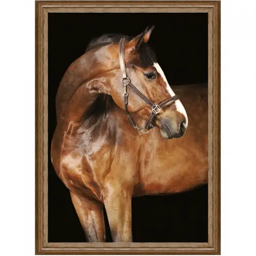 By Kohler  Brown Horse 1 60x80x3cm (105173)