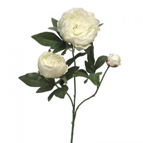 By Kohler  Peony Cream D-D'Luemours Spray 70x20x10cm (110498)