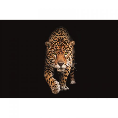 By Kohler  Spotted wild cat - Panther 300x200x2cm mat (113483)