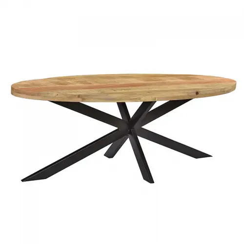 By Kohler  Dining Table Baywood 210x100x76cm Oval Spyder Leg (114322)