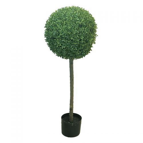 By Kohler  Box Princeville Topiary W/Pot 38 -20x60cm (114408)