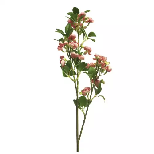 By Kohler  Wild seringa Auke red 65cm (200993)