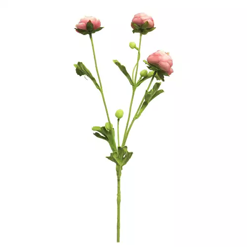  Ranunculus spray mini pink 68cm