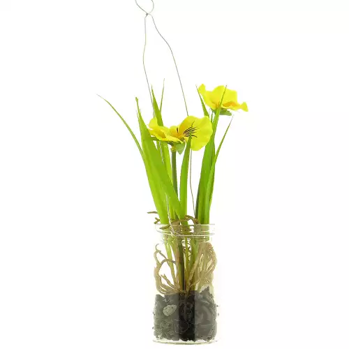  Pansy in glass pot w/hanger yellow 24cm