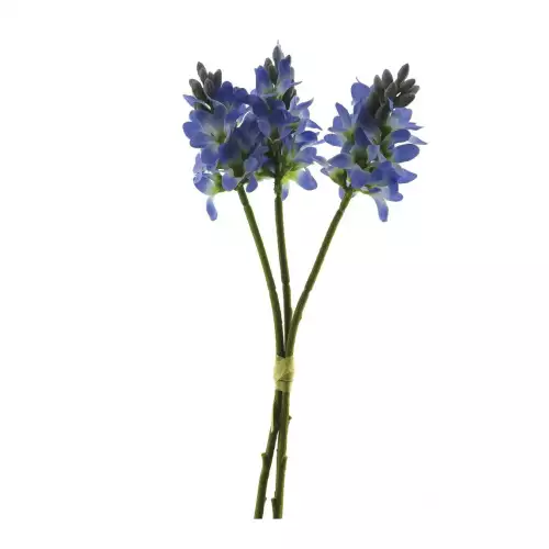  Hyacinth bundle x3 blue 30cm