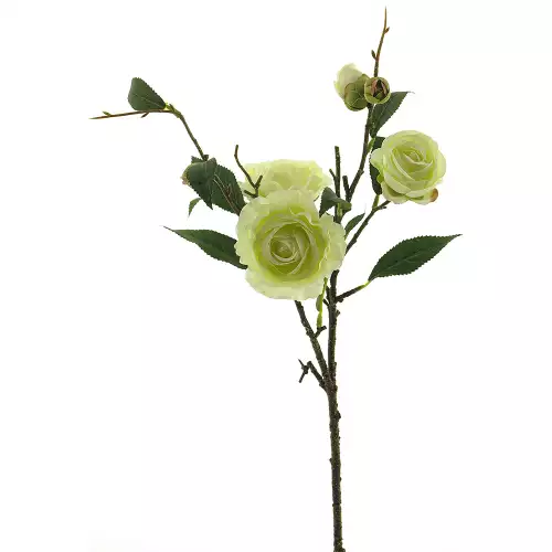  Ranunculus spray cream 66cm