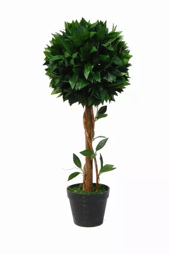 By Kohler  Bay Tree 70cm (201535)