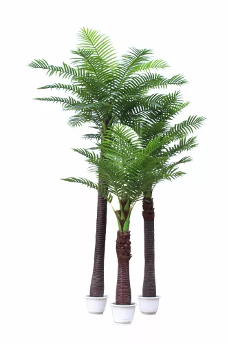 By Kohler  Coco Palm Tree 250cm (201537)