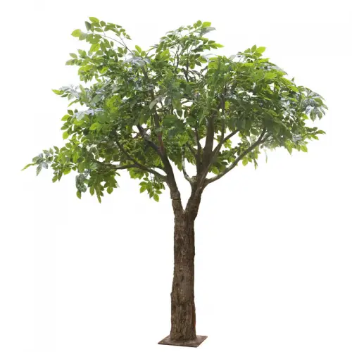 By Kohler  Giant Ficus Tree green 160x160x230cm (114881)